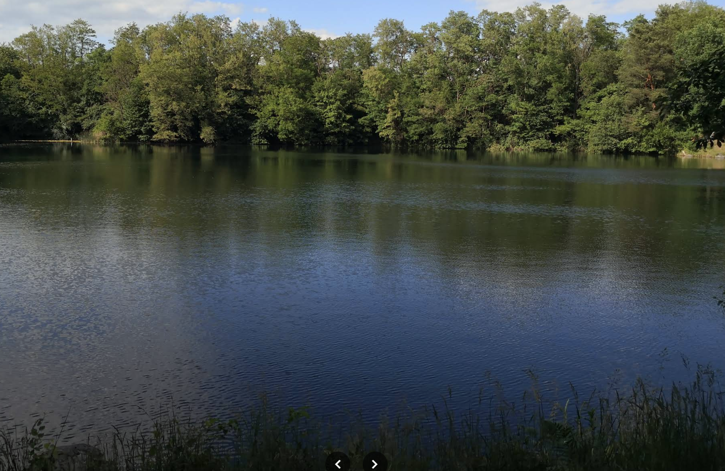Frankfurter See 2