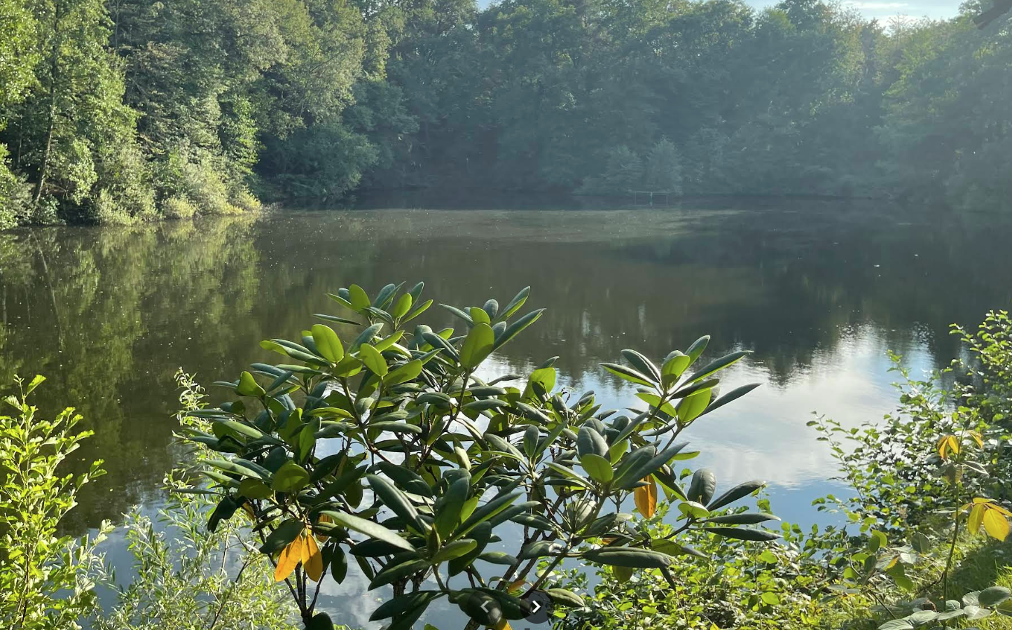 Grüner See 1