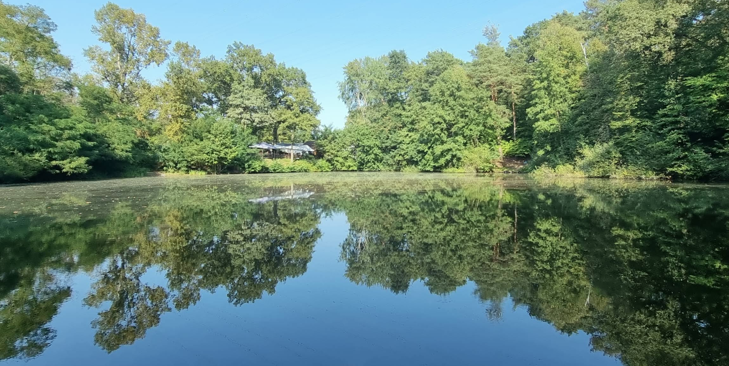 Grüner See 2